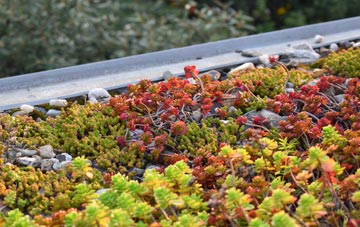 the cost of Fishmere End green roof installation
