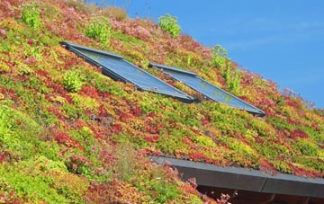 Fishmere End living roof systems