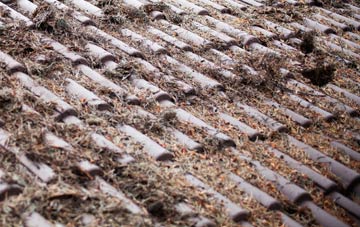 Fishmere End roof cleaning companies