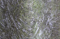 Fishmere End fibreglass roof work